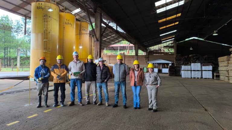 Misiones | La Champion SA avanza en el proceso de certificación de Norma ISO 9001 para fortalecer la industria forestal
