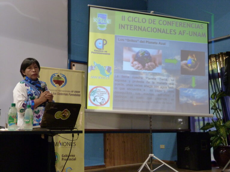 Ciclo de Conferencias AF-UNaM | Especialistas internacionales analizaron mecanismos de producción forestal sustentable