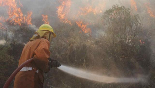 Valientes. El año pasado, los bomberos combatieron incansablemente los incendios en la provincia (La Voz / Archivo).