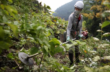 Junko Otsuka, leñadora japonesa. (Bloomberg) Junko Otsuka, leñadora japonesa. (Bloomberg)