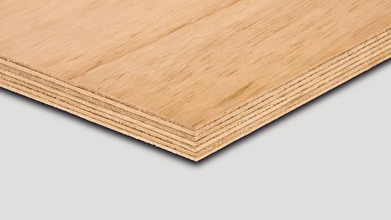 Arauco invertirá US$ 235 millones en la construcción de una nueva línea de producción de tableros MDF en México