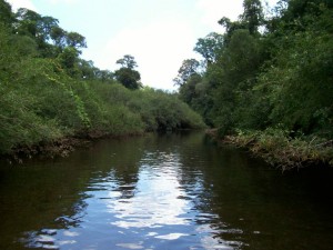 biodiversidad (5)