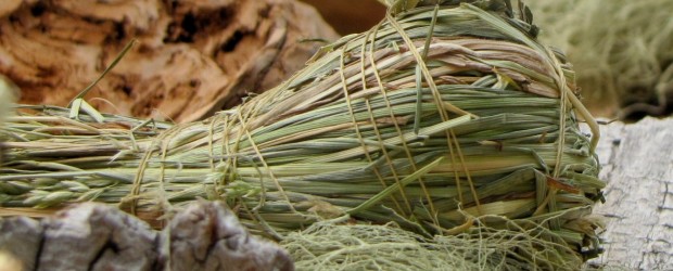 Diario de Aysén Diario de Aysén