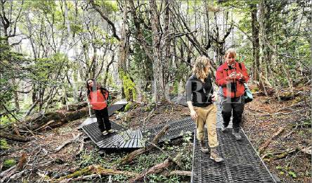 17-1-2687856.jpg 17-1-2687856.jpg