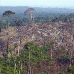 Una vista de la deforestación en el Amazonas