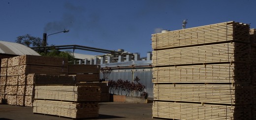 exportaciones1