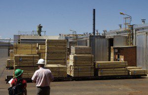 Empresas foresto-industriales atraviesan la peor crisis de los últimos años