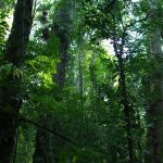 biodiversidad