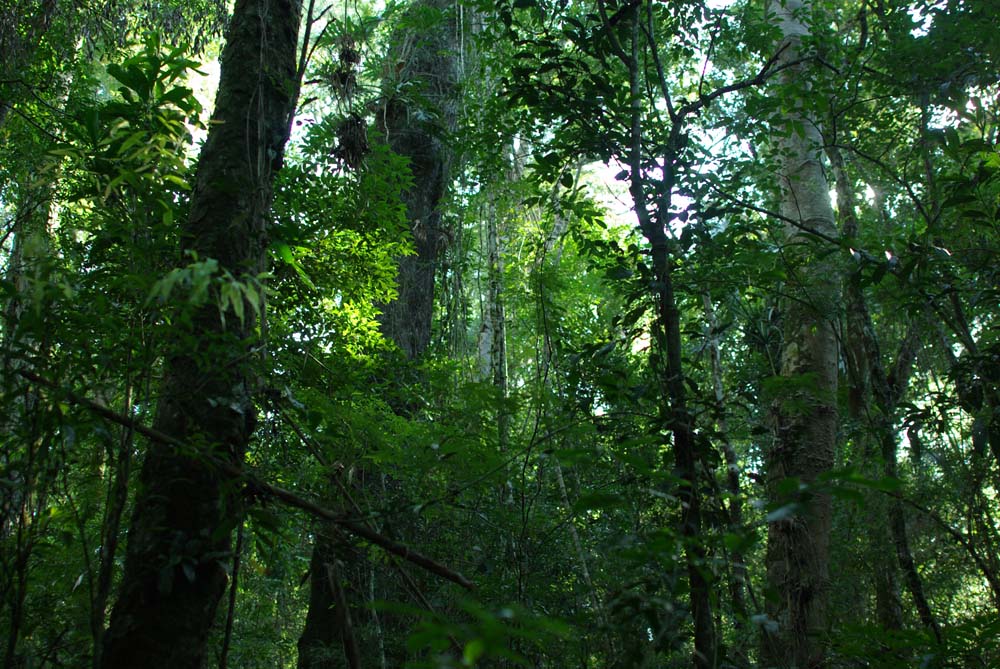 biodiversidad