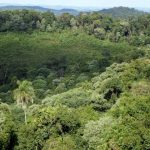 Misiones creó el primer Banco Genético de animales y fauna para conservar las especies en extinción