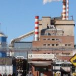 Celulosa declaró desierta la colocación de deuda por hasta u$s 250 millones