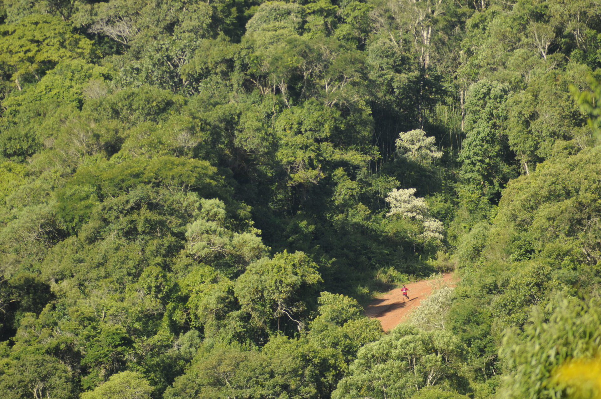 a03983981a606a93600a5440608b0ce28827545f