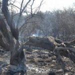 San Luis sufrió 10 días de incendios. Fotoreporter