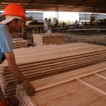 Centro Tecnológico de la Madera de Montecarlo se ampliará y tendrá un nuevo secadero