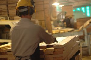 Afirman que el sector exportador puede generar 350 mil puestos de trabajo en el NEA