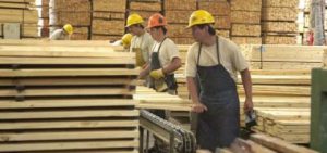 Los reintegros a las exportaciones de madera alcanzarán el 6 por ciento