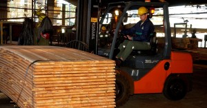 MaderadeMisiones1 MaderadeMisiones1