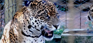 ???????????????????????????????????? ????????????????????????????????????