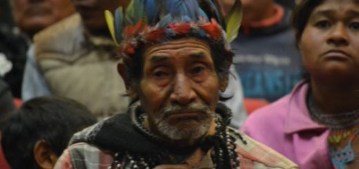 MbyaGuarani-2hd526k7te50-520x245