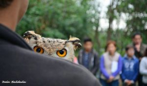 biodiversidad5-5231hhkou2e0-300x176