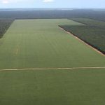Los pueblos originarios del chaco salteño perdieron el 21% de la superficie que trabajaban