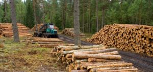 forestoindustria-5qonjblr7g90-300x142