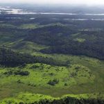 La Amazonía cumple un rol vital en regular el clima del planeta