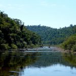 Ecología dio a conocer todos los estudios sobre el camino del Lote 8 en el Parque Provincial Moconá