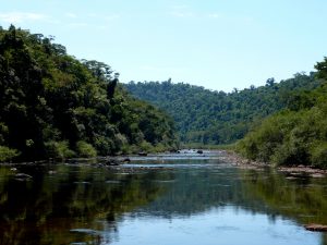 Ecología dio a conocer todos los estudios sobre el camino del Lote 8 en el Parque Provincial Moconá