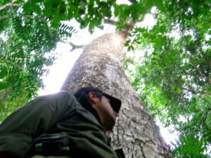 Arbol1-1o6dnbpf14tg-300x225