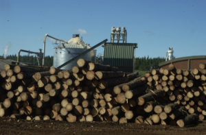 Madera-66n3togoas60-300x197