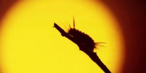 Workshop-22v9d865g1ng-300x150