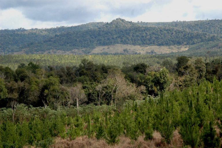 Declaración de Bridgetown, el acuerdo para los países de la región en una recuperación pospandemia basado en la restauración de los ecosistemas, economías bajas en carbono e inclusión social