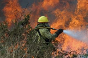 Incendiosforestales3-371d1ki645ig-300x200