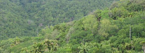 Abren convocatoria de becas para estudiantes en Colón que deseen aprender cine Abren convocatoria de becas para estudiantes en Colón que deseen aprender cine