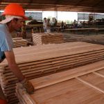 Exportaciones de madera de Misiones dejarán de tributar Ingresos Brutos y las de celulosa pagarán menos