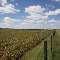 www.agroindustria.gob_.ar_sitio__fotos_180110094453_200x200