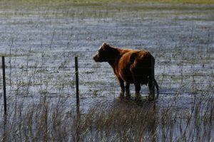 Inundaciones en la provincia de Buenos Aires
