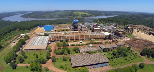 La industria de la celulosa y papel tiene por desafío revertir las percepciones negativas y erróneas de un alto porcentaje de la sociedad respecto a su actividad