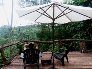 Tacuapi Lodge, un lugar para desconectarse y vivir la naturaleza desde el corazón de la selva misionera
