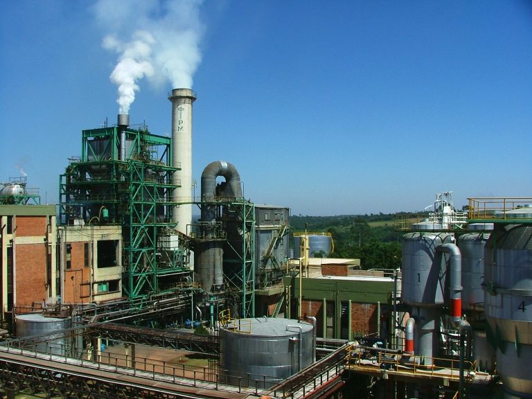 AFCP:“La industria papelera invirtió más de 315 millones de dólares entre los años 2003 y 2017 en gestión ambiental”
