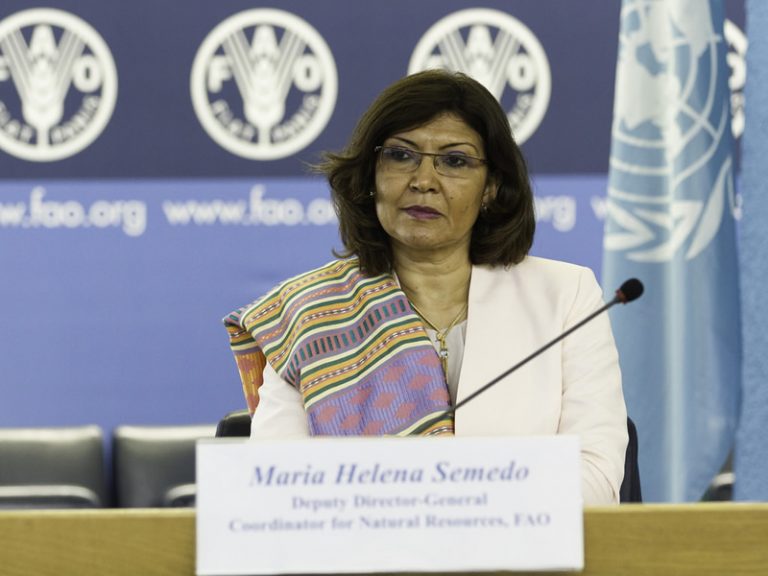 FAO promueve el desarrollo de una bioeconomía mundial inclusiva