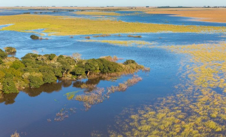 Por unanimidad el Senado aprobó el proyecto de creación del Parque Nacional Iberá