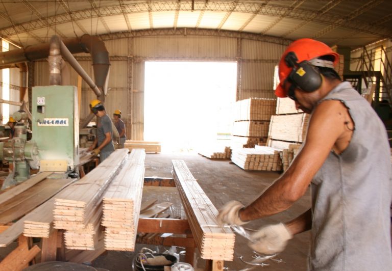 Misiones | «Las PyMEs foresto-industriales están perdiendo competitividad por el atraso cambiario y la inflación», advierte el ministro de Industria