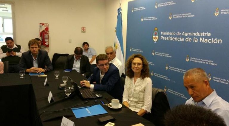 AFoA: De recuperar competitividad, China representa una gran oportunidad para el país en exportación de madera