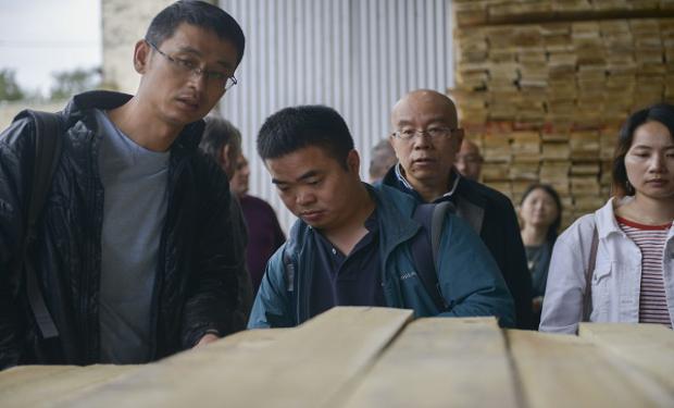 Empresarios y productores de la República Popular China estudian posible abastecimiento de madera aserrada de pino y eucalipto desde Sudamérica