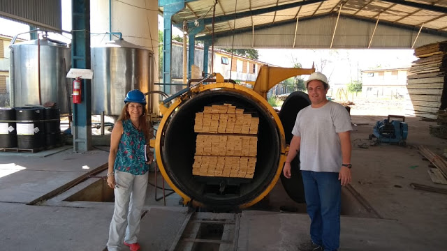 Ambiente, FAIMA y Agricultura realizan encuestas en aserraderos para elaborar una guía de buenas prácticas ambientales en la industria de la madera