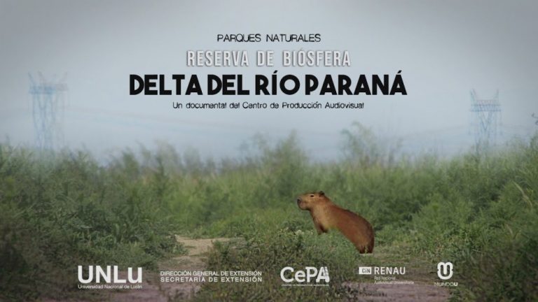 Biodiversidad y riqueza natural refleja un documental sobre la Reserva de Biósfera del Delta del Río Paraná