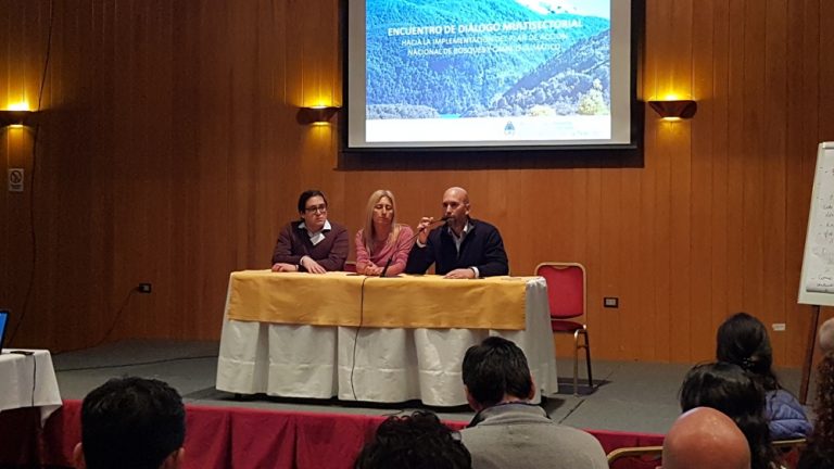 Cinco provincias patagónicas participan del encuentro de diálogo multisectorial para avanzar en un plan de acción de Bosques y Cambio Climático