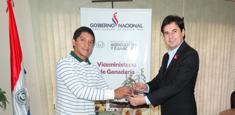 Paraguay: Impulsarán sistema silvopastoril en pequeñas fincas con especies de eucaliptos